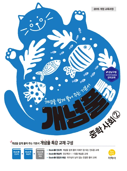 개념풀 특강 중학 사회 ② (2015개정) 표지