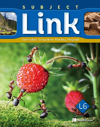 Subject Link 6 2013 교재 표지