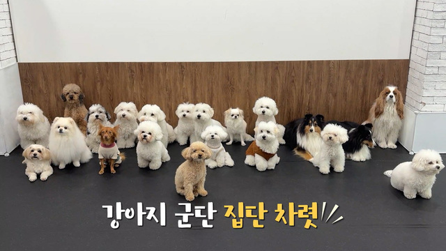 1017회 방송 대표 이미지 · 업체 실사진 아님