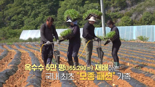 1032회 방송 대표 이미지 · 업체 실사진 아님