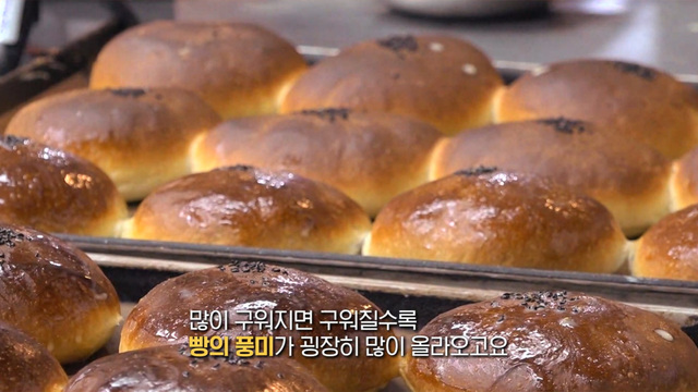 1033회 방송 대표 이미지 · 업체 실사진 아님
