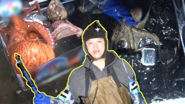 697회 방송 대표 이미지 · 업체 실사진 아님