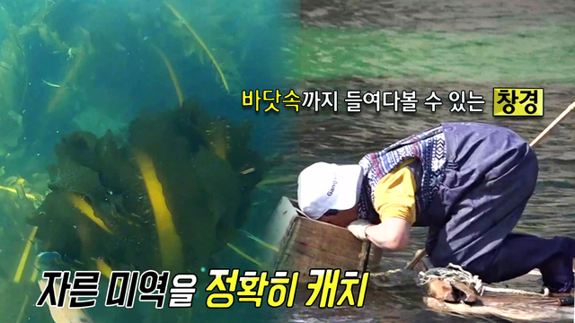 889회 방송 대표 이미지 · 업체 실사진 아님