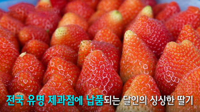 941회 방송 대표 이미지 · 업체 실사진 아님