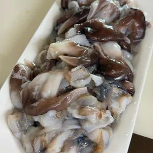 동백회수산 업체 관련 사진