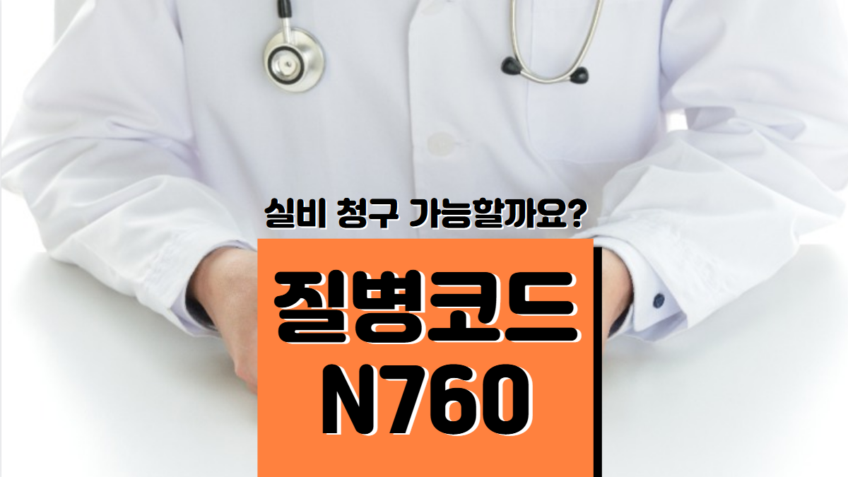 질병코드-N760-배너