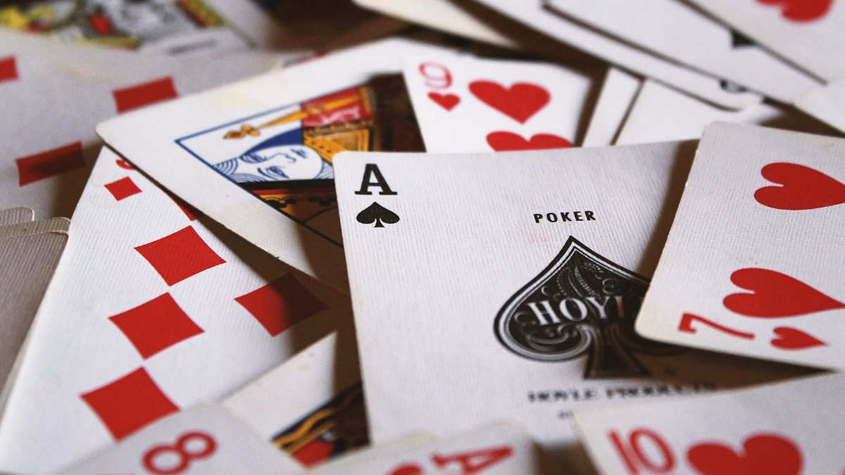 포카-족보-배너