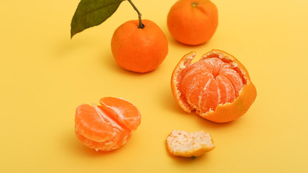 귤껍질-분리수거-배너