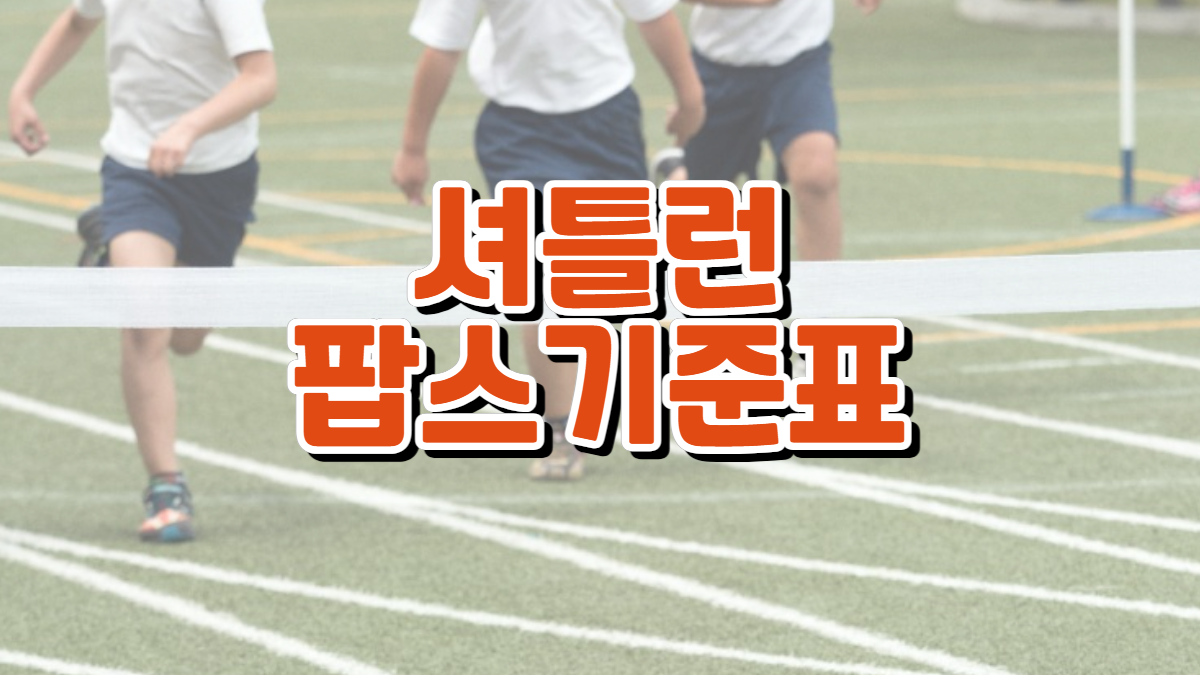 팝스-셔틀런-기준표-배너