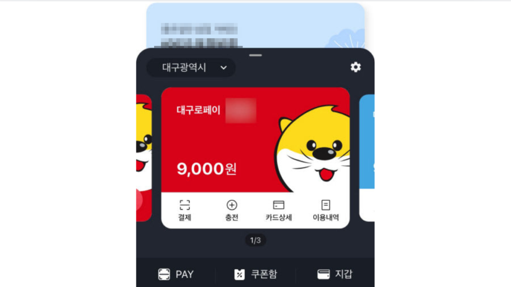 대구로페이-잔액-조회-배너
