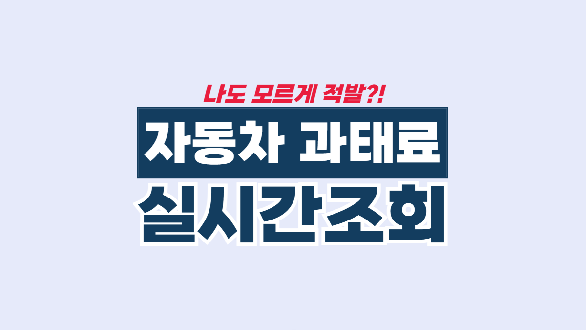 자동차-과태료-조회-배너