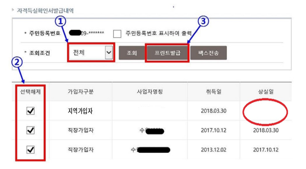 건강보험-자격득실확인서-발급화면