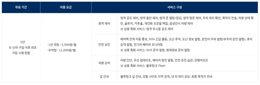 블루링크-요금제-5년