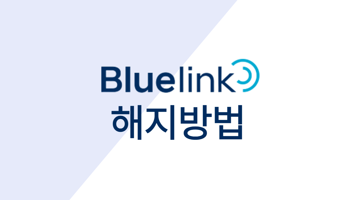 블루링크-해지-배너