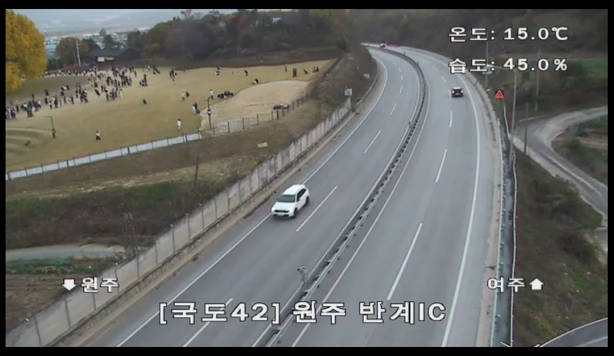 반계리-은행나무-CCTV-실시간-조회