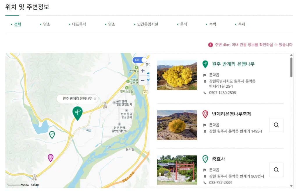 반계리-은행나무-위치-및-주변정보