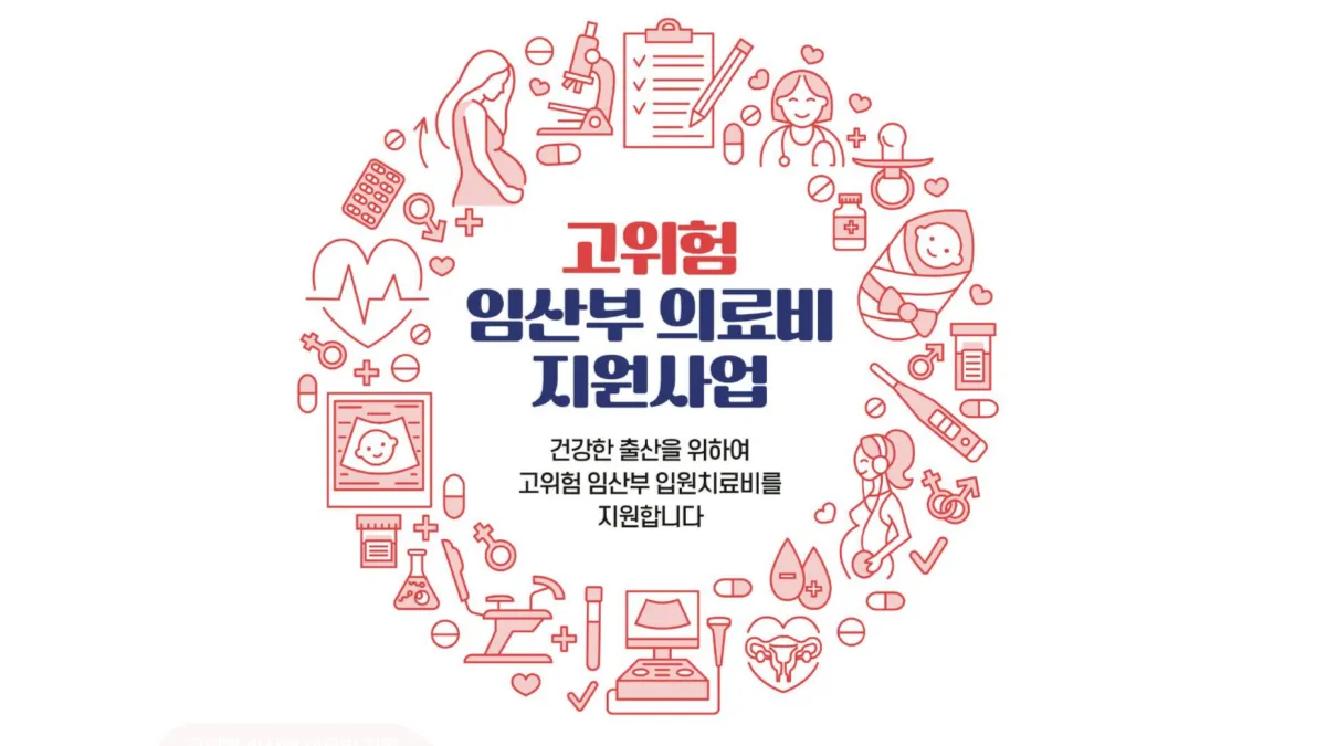 고위험산모 지원금 신청 (최대 300만원): 대상 임산부 의료비 제공