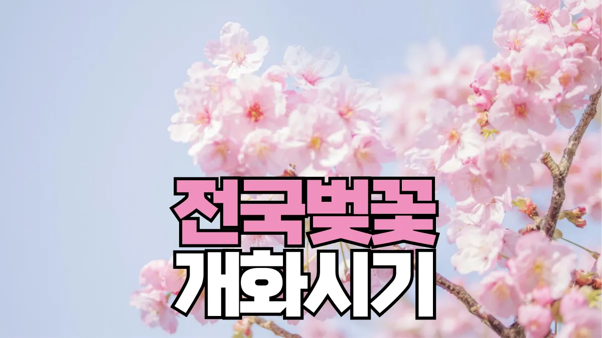 2026년-벚꽃-개화시기-배너