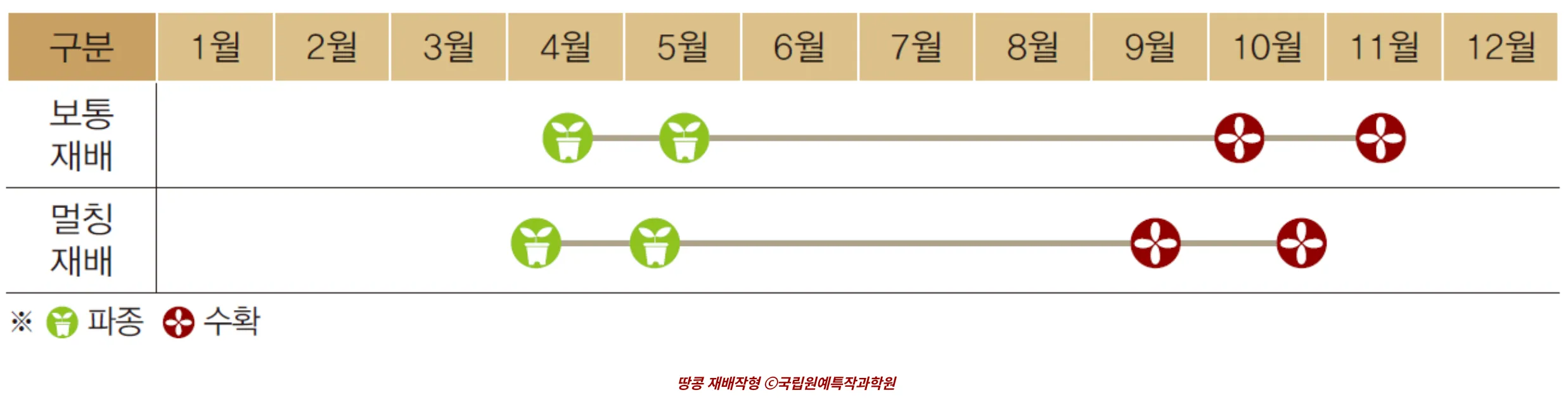 비닐 멀칭 후 땅콩을 심기 좋게 다듬어진 텃밭 이미지