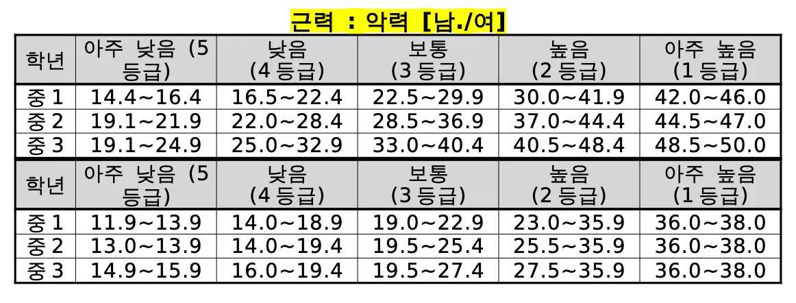중학교 팝스 기준표 악력
