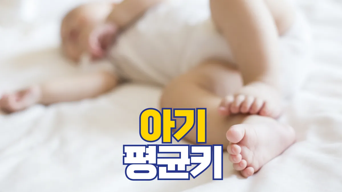 아기-평균키-배너