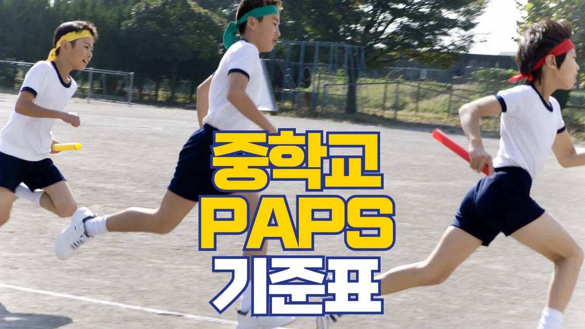 중학교-팝스-기준표-배너