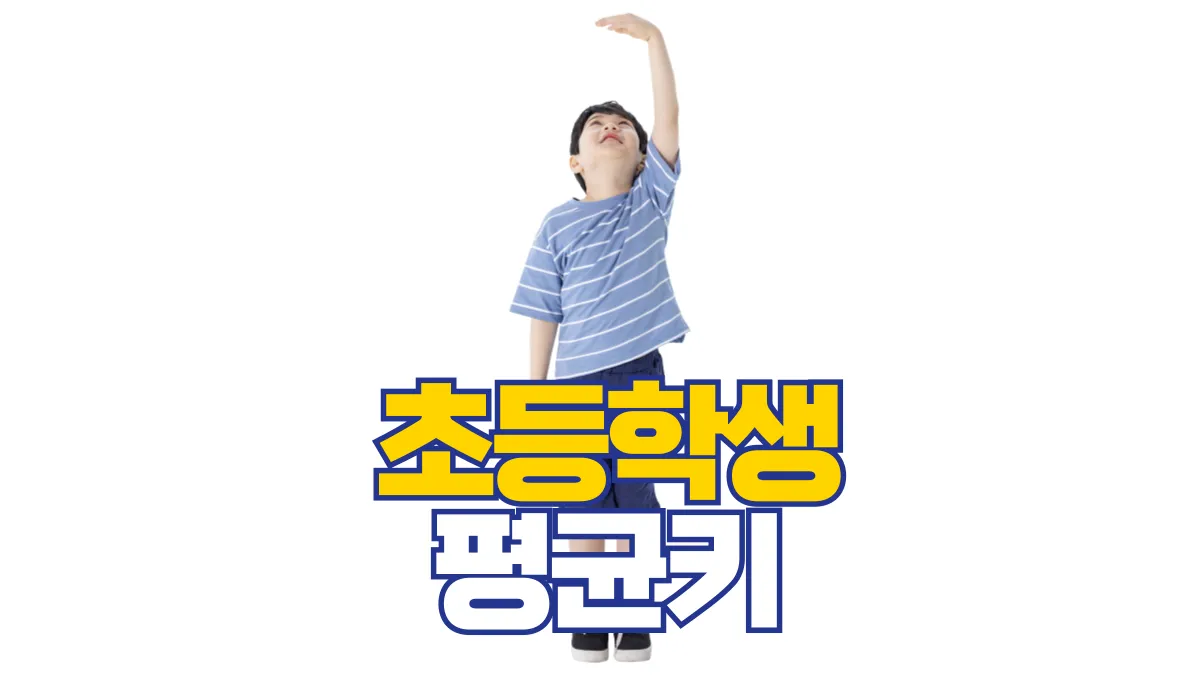 초등학생-평균키-배너