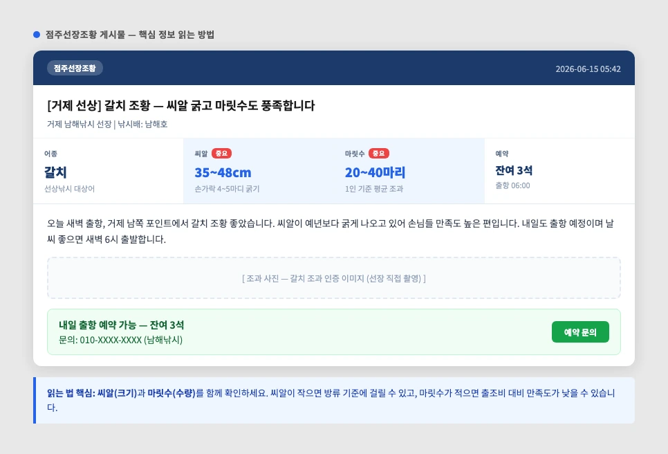 디낚 점주선장조황 게시판 실제 화면 — 어종·씨알·마릿수 정보가 포함된 게시물 예시