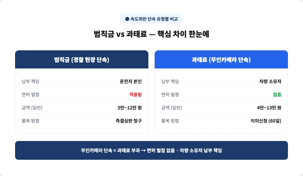 속도위반 범칙금 vs 과태료 핵심 차이 비교 카드