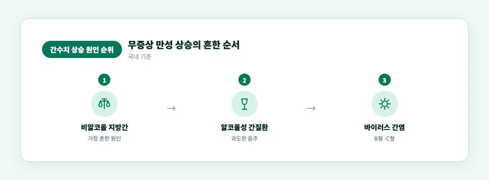 간수치가 높아지는 주요 원인