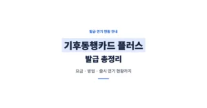 기후동행카드 플러스 발급 총정리: 요금, 구매방법, 신청 방법, 현황