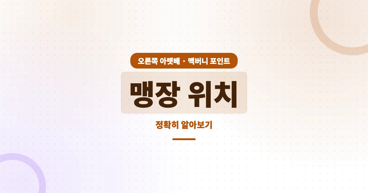 맹장-위치-OG-1200x628