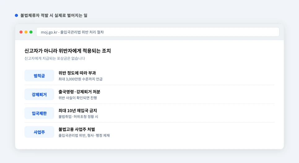 불법체류자 적발 시 범칙금 강제퇴거 재입국제한 사업주처벌 요약 카드