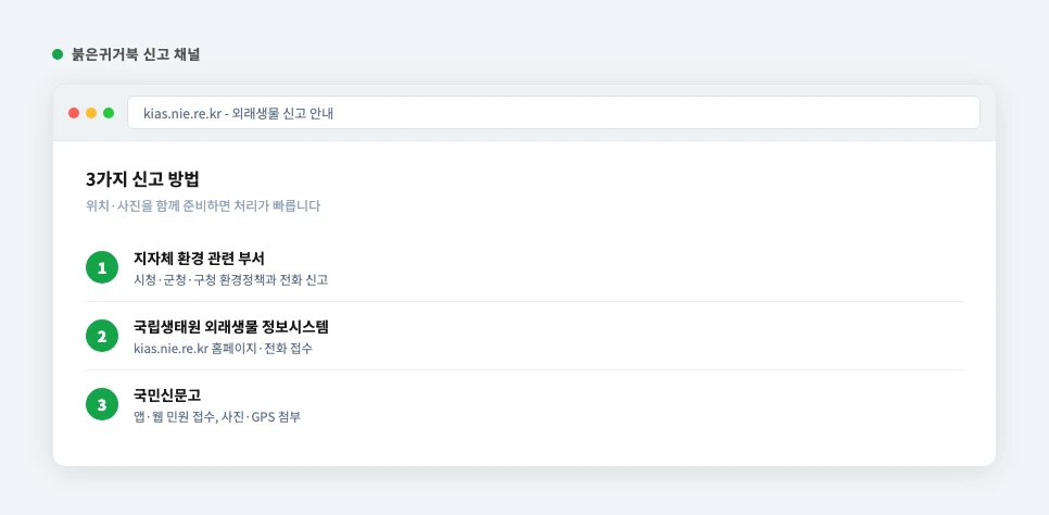 붉은귀거북 신고 채널 3가지 요약 화면