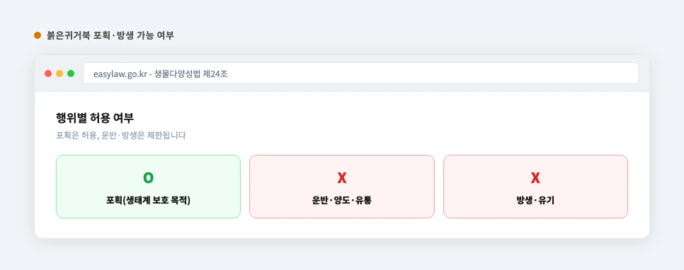 붉은귀거북 포획·방생 가능 여부 요약 화면
