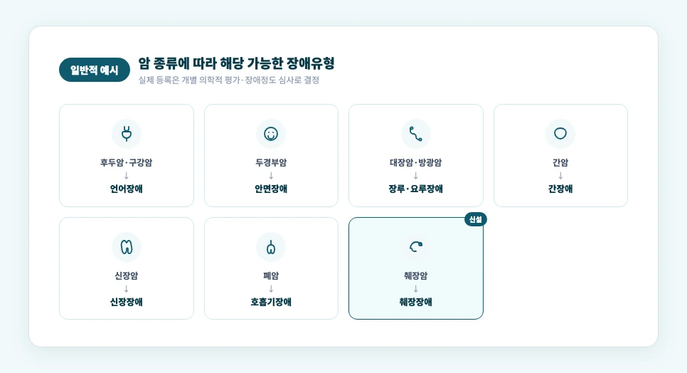 암환자 장애인등록 암 종류별 후유장애 유형 매핑 도식