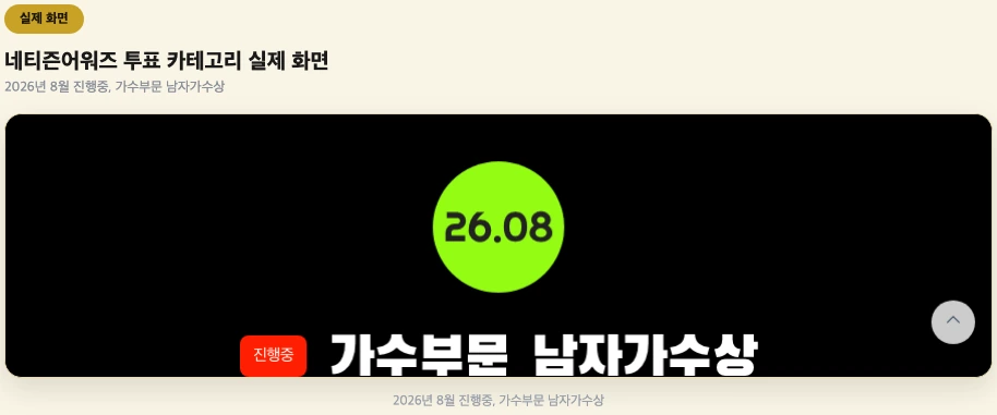 네티즌어워즈 투표 카테고리 실제 화면