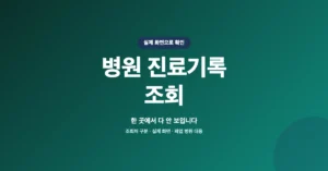 병원 진료기록 조회/발급: 최대 10년간 본인, 자녀 이력 열람,확인 방법