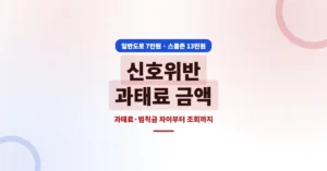 신호위반 과태료 금액 조회, 일반도로 벌금 7만원 스쿨존은 13만원인 이유