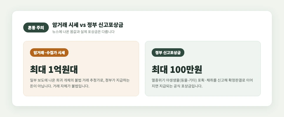 암거래 시세와 정부 포상금 비교 카드
