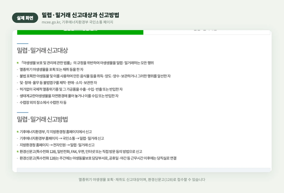 밀렵·밀거래 신고대상과 신고방법 실제 화면