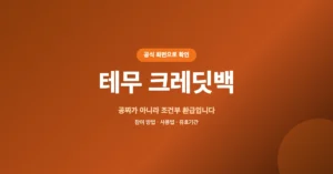 테무 크레딧백 신청: 반품 시 최대 420%환급? 확인 먼저하세요!