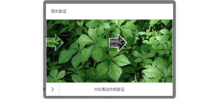 YFH 택배 소포 조회의 슬라이드 인증 창